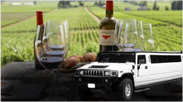 Wine Tours Petaluma