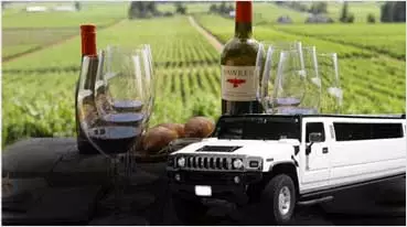 Wine Tours Petaluma