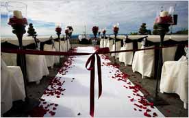 Wedding Planning Petaluma