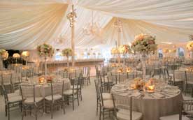 Chivari Chair Rentals Service Petaluma