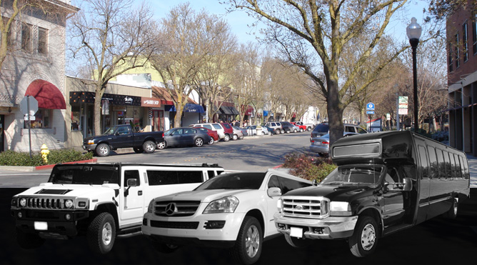 Limo Rental Services Larkspur