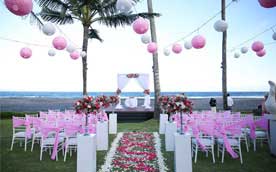 Exotic Chairs Rentals Service Petaluma