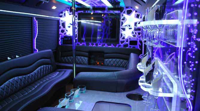 Petaluma 28 Passenger Party Bus