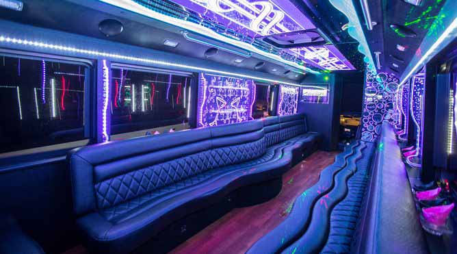 Petaluma 28 Passenger Party Bus