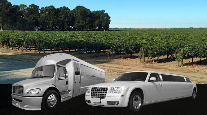 Clarksburg Wine Tours Petaluma