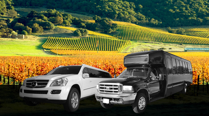 Sonoma County Wine Tours from Petaluma