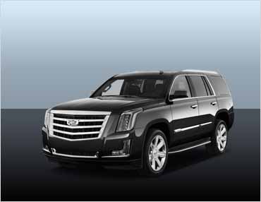 Petaluma Escalade SUV