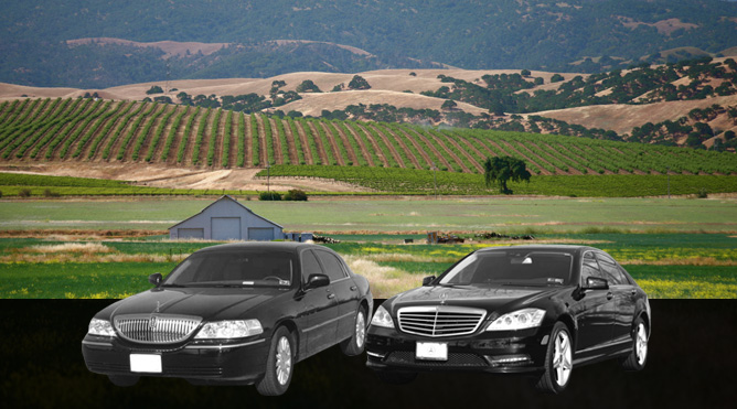 Livermore County Wine Tour from Petaluma